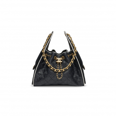 CHANEL 25 SMALL HANDBAG BRAID AS5293 (30*26*14cm)